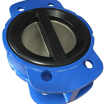 champion model cvl check valve