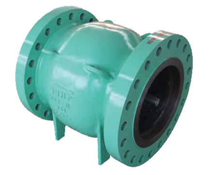 Champion Model NZ & NZS Axial Flow Nozzle Check Valve